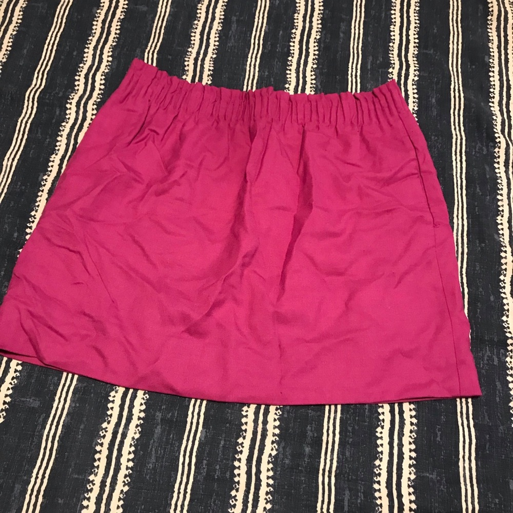 J. CREW Skirt